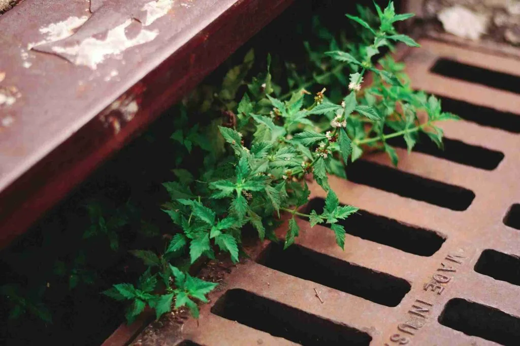 Avoid Gutter Overflow